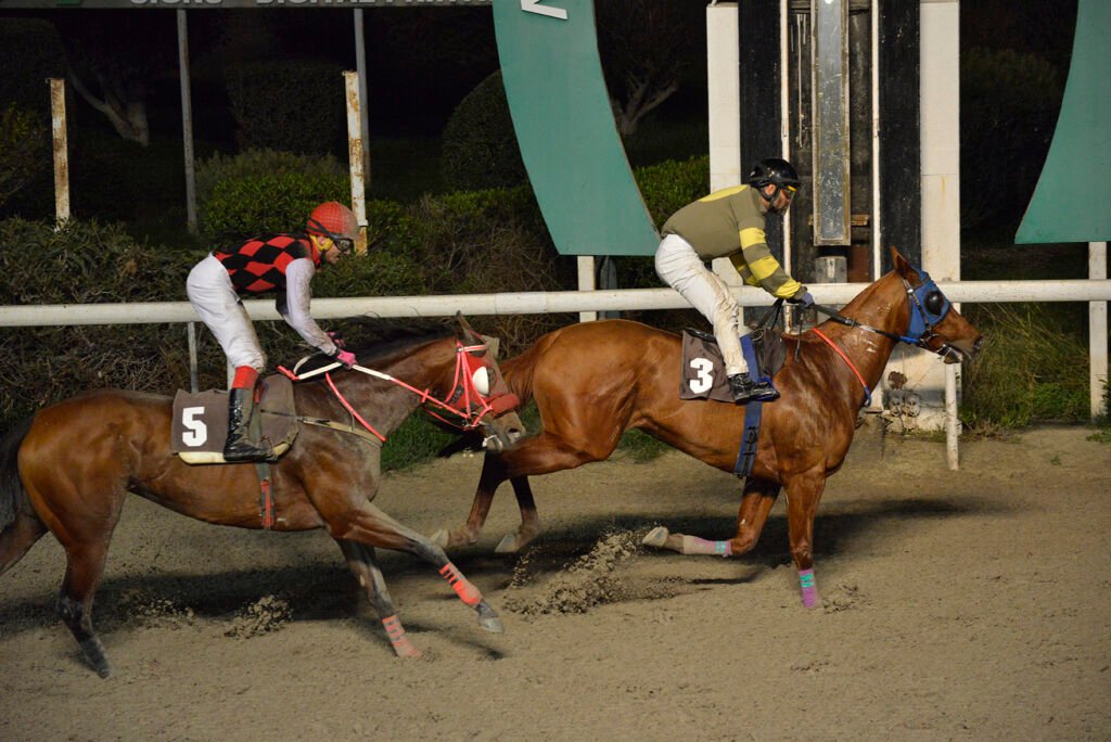 KOTSIA SANE 5.1.25_STK6979