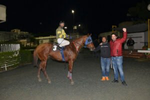 KOTSIA SANE 5.1.25_STK6983