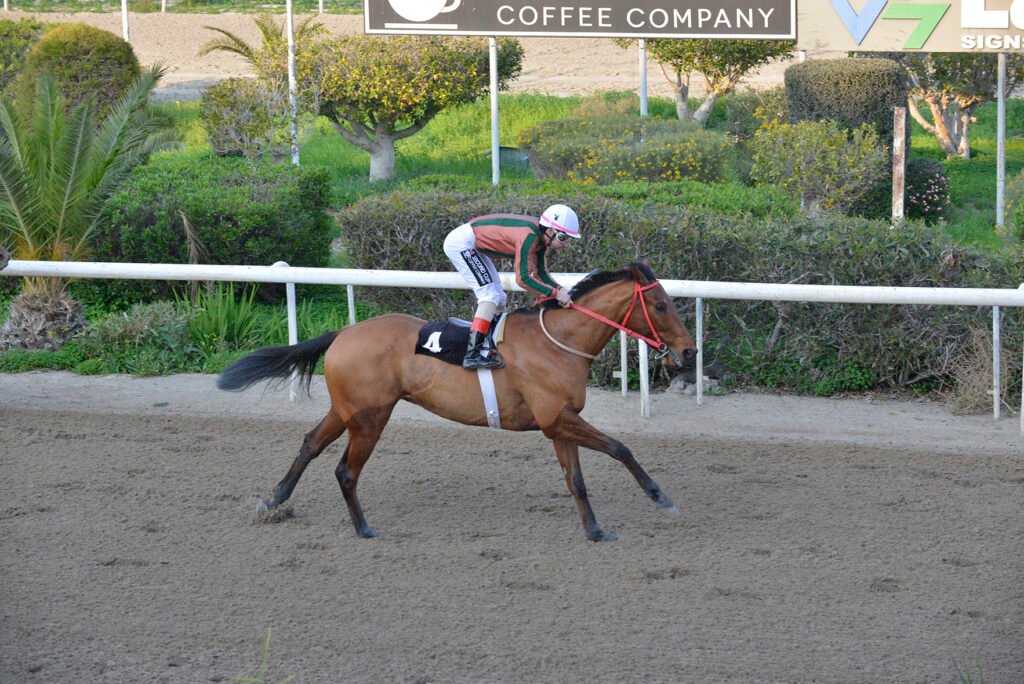 LORD VOLDEMORT 26.1.25_STK7555