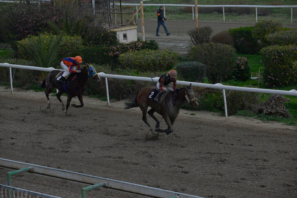 MARTA 5.1.25_STK6893