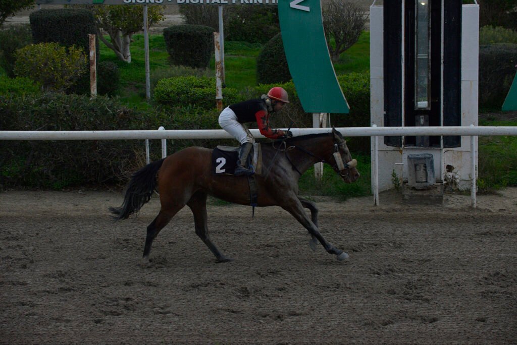 MARTA 5.1.25_STK6894