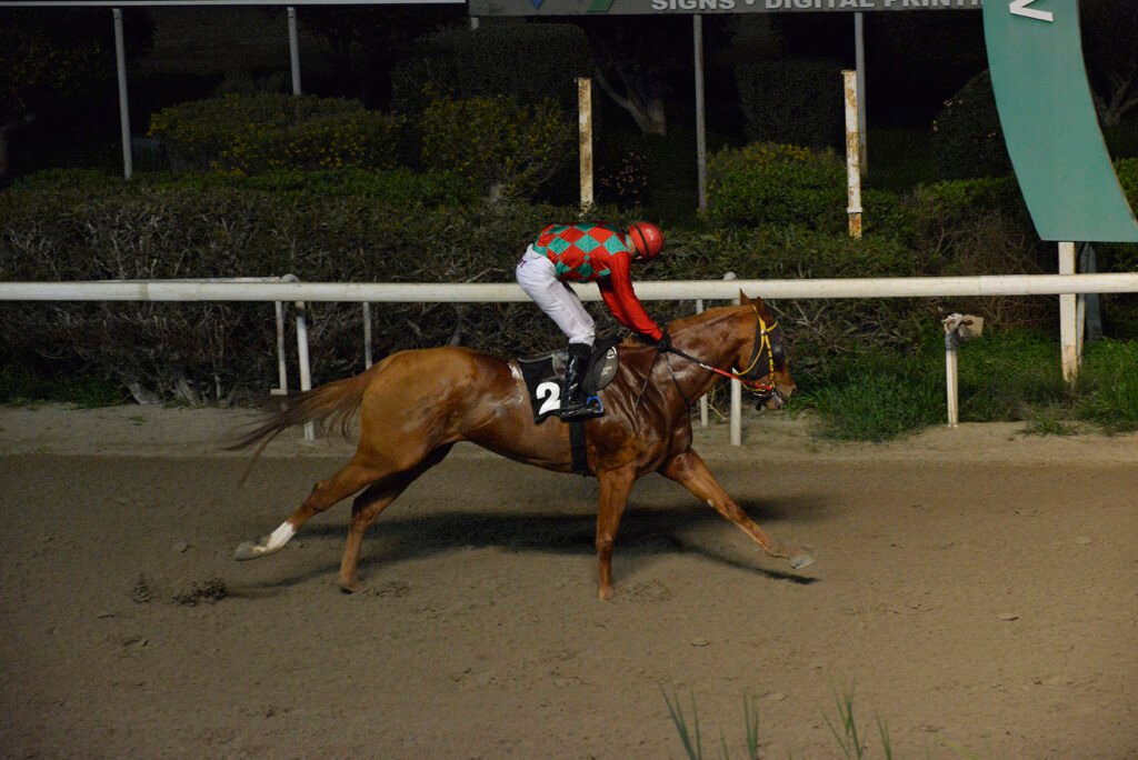 MELISAKI 26.1.25_STK7621