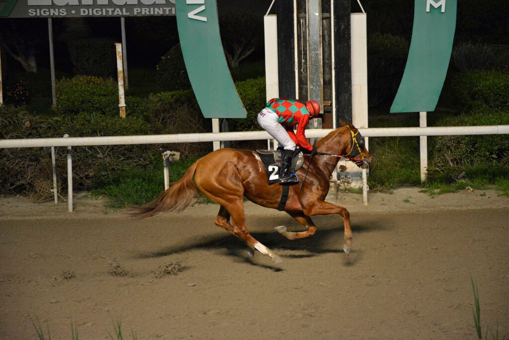 MELISAKI 26.1.25_STK7622