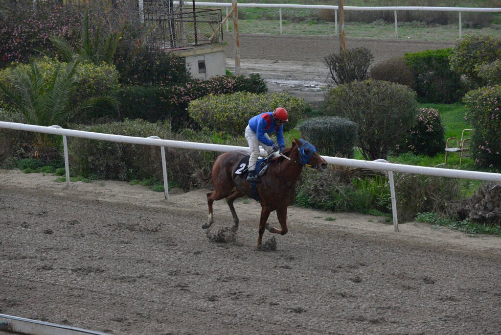 MIILIOTIS KALINIKI 5.1.25_STK6910