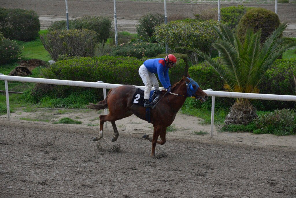 MIILIOTIS KALINIKI 5.1.25_STK6911