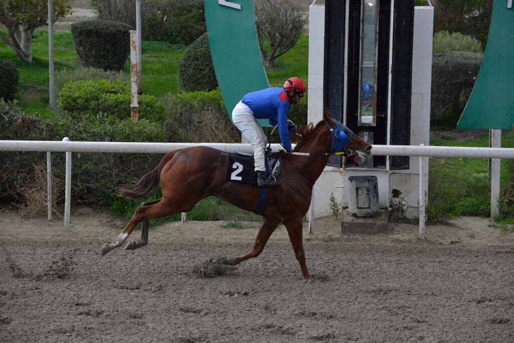 MIILIOTIS KALINIKI 5.1.25_STK6912