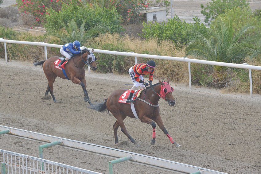 MIKRI FOINIKI 01.10.2021_STK4287