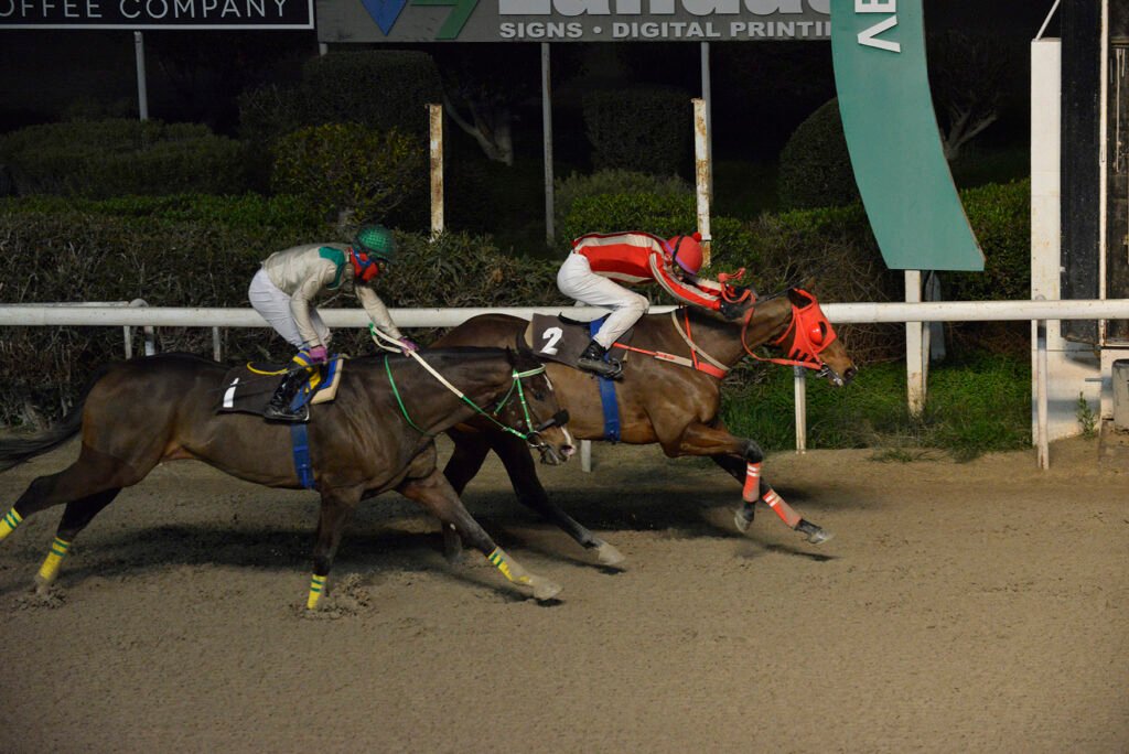 NTOUKA KAKIS 5.1.25_STK6933