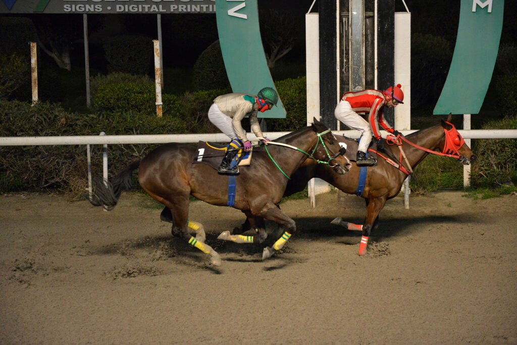 NTOUKA KAKIS 5.1.25_STK6934