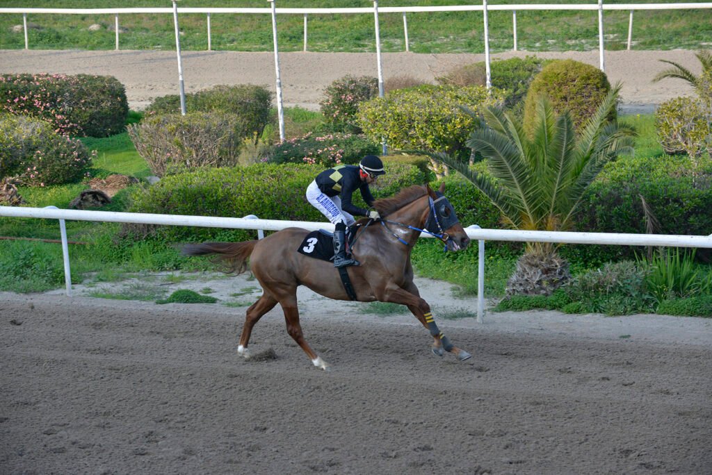 NTROGO 26.1.25_STK7539