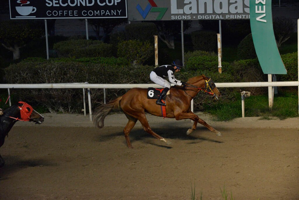 ORAIA ELENI 15.1.25_STK7282