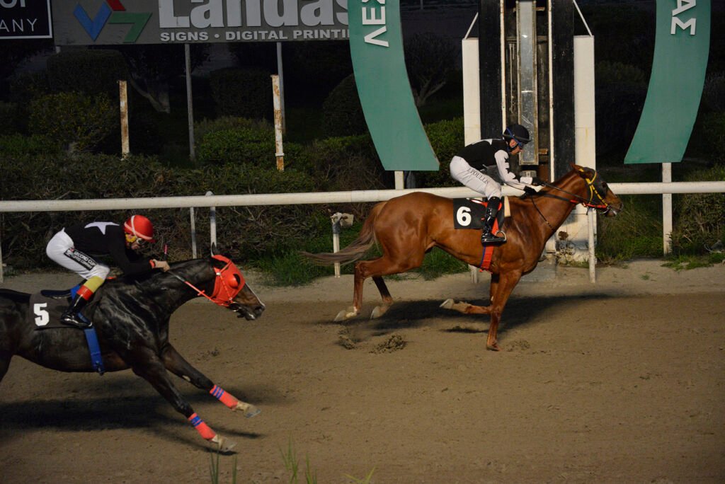 ORAIA ELENI 15.1.25_STK7283