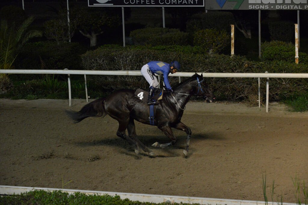 OTHONAS 15.1.25_STK7337