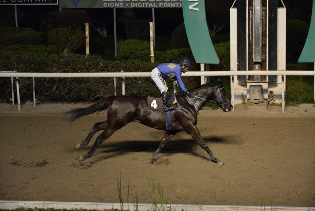 OTHONAS 15.1.25_STK7338