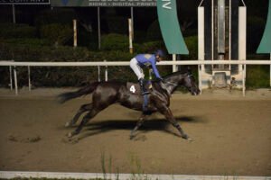 OTHONAS 15.1.25_STK7338