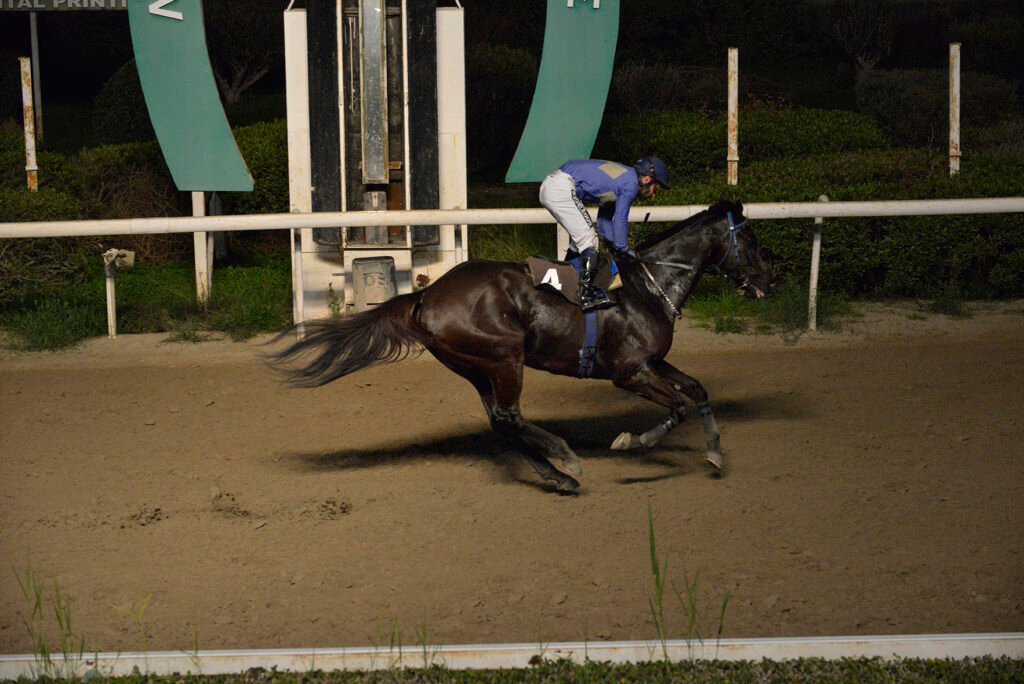 OTHONAS 15.1.25_STK7339