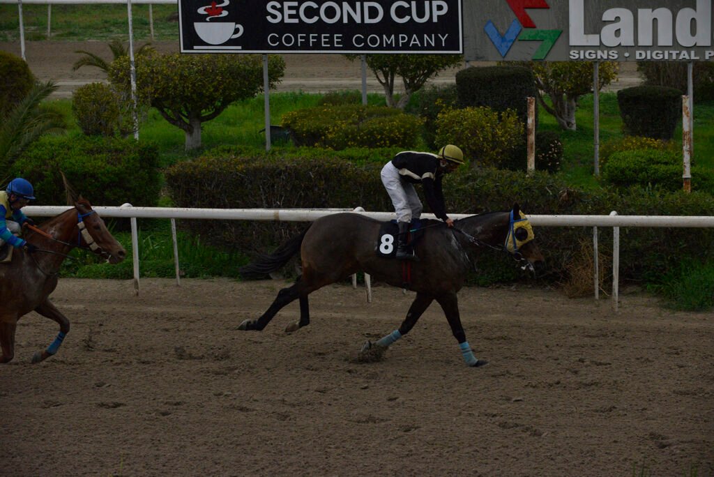 PATH OF GOLD_STK7452