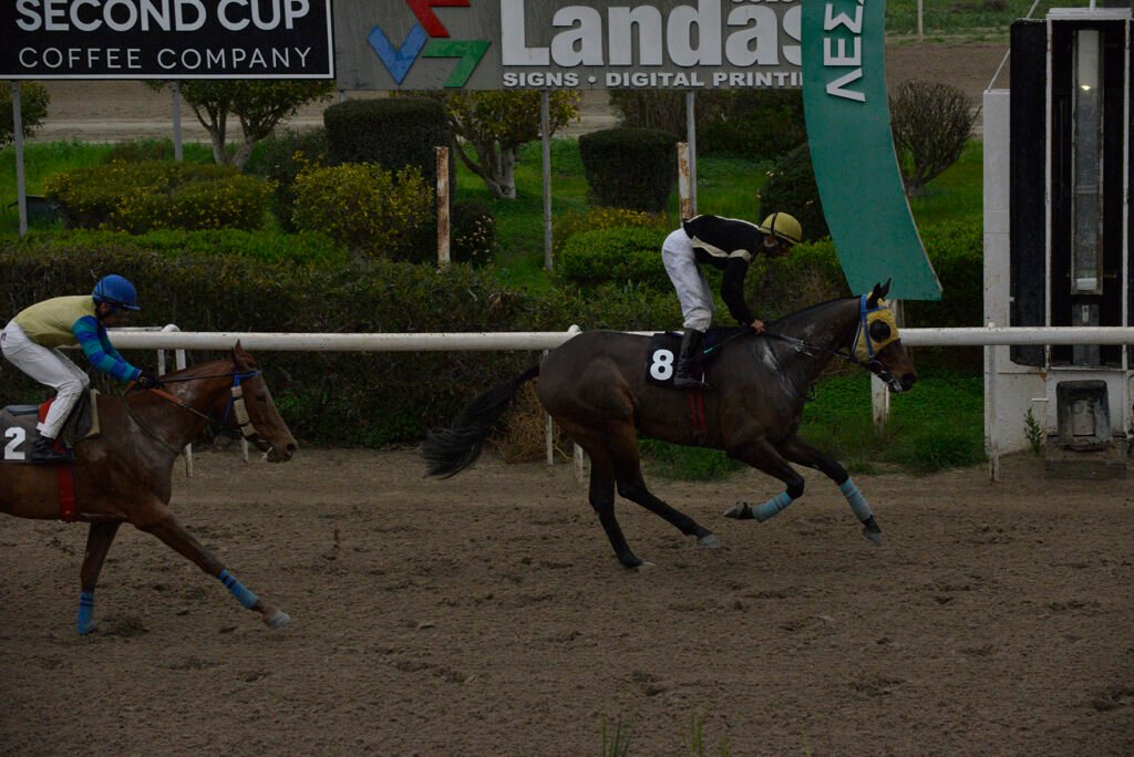 PATH OF GOLD_STK7453