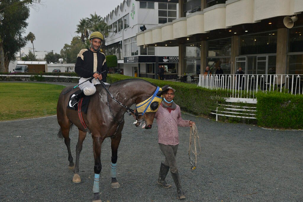 PATH OF GOLD_STK7454