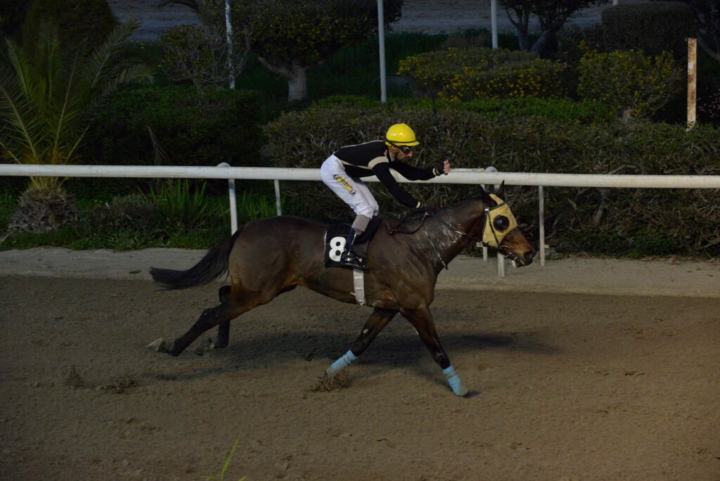 PATH OF GOLD_STK7699