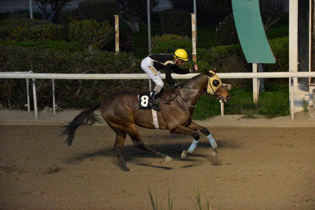 PATH OF GOLD_STK7700