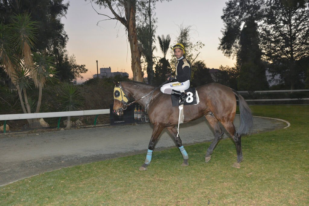 PATH OF GOLD_STK7705