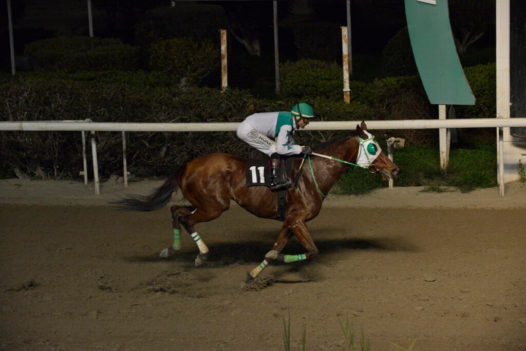 PLANITARCHIS 15.1.25_STK7297