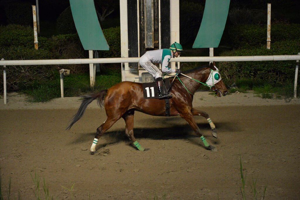 PLANITARCHIS 15.1.25_STK7298