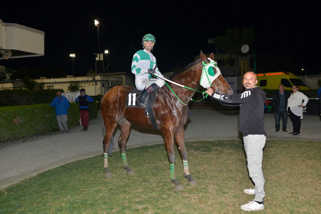 PLANITARCHIS 15.1.25_STK7304