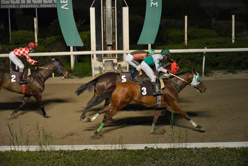 PLANITARCHIS_STK7718