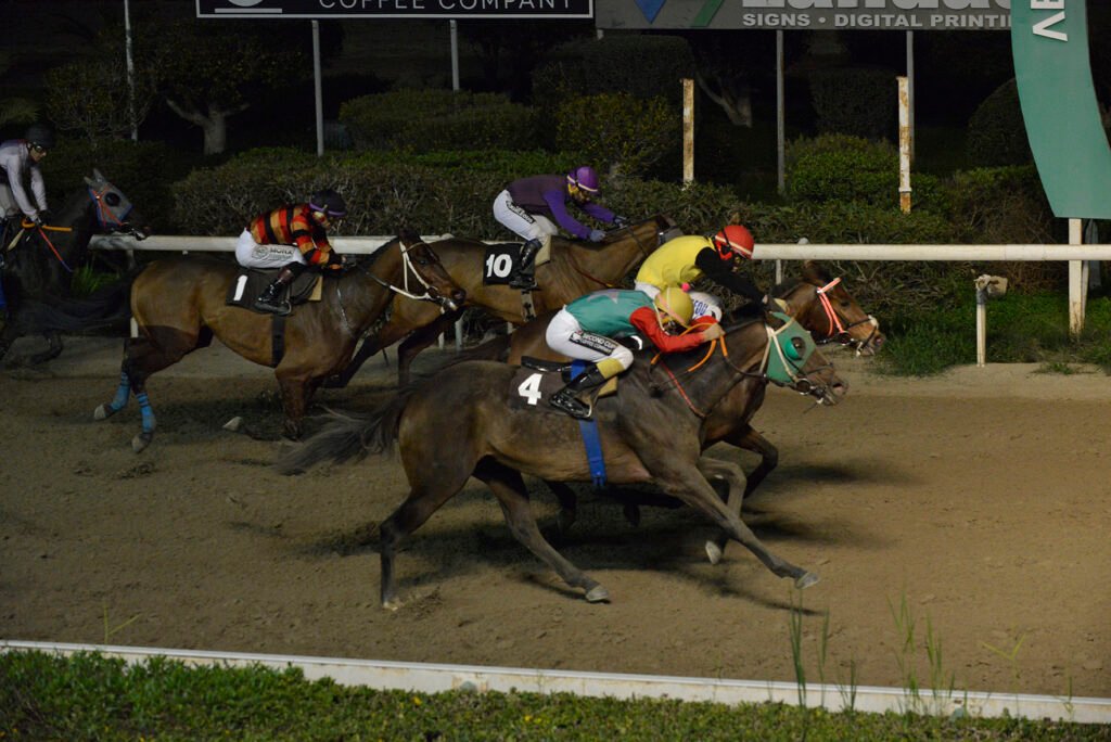 QUEEN RIANA 15.1.25_STK7330