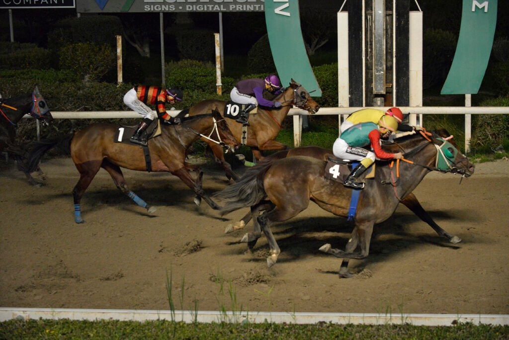 QUEEN RIANA 15.1.25_STK7331