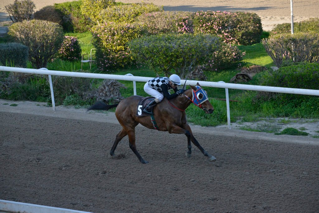 RUBY GALATIA_STK7661