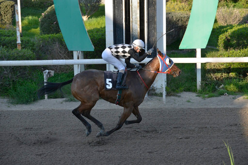 RUBY GALATIA_STK7663