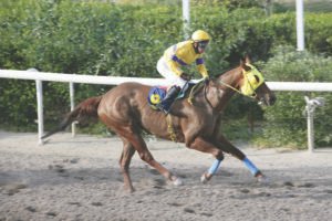 RUMBERO TRAGEDY 5-170411