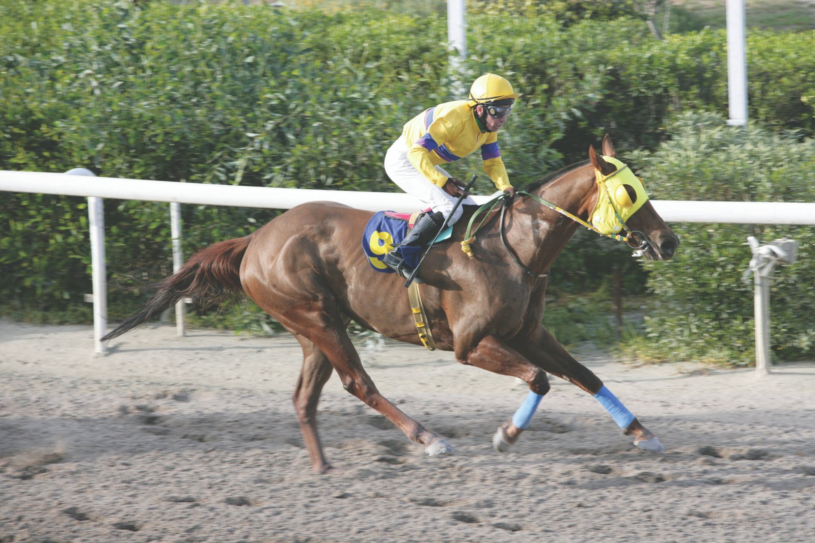 RUMBERO TRAGEDY 5-170411