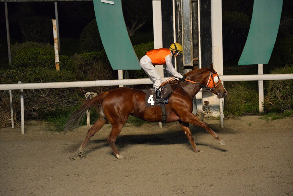 SOTIROULAS MEMORY 5.1.25_STK6958