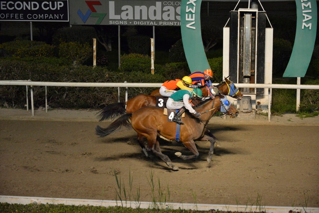 TSAGGARAS SISTER – EFPATRIDES_STK7735