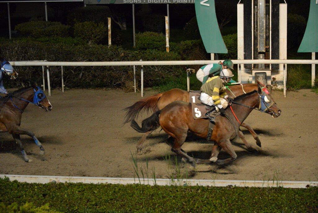 TSERKOTIS PSILLOS_STK7532