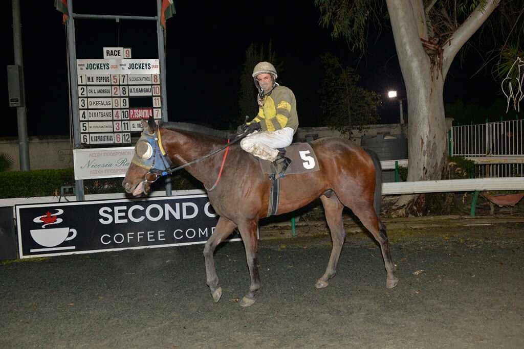 TSERKOTIS PSILLOS_STK7536