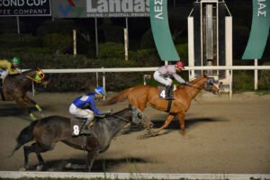 WINDOM 6.1.25_STK7027