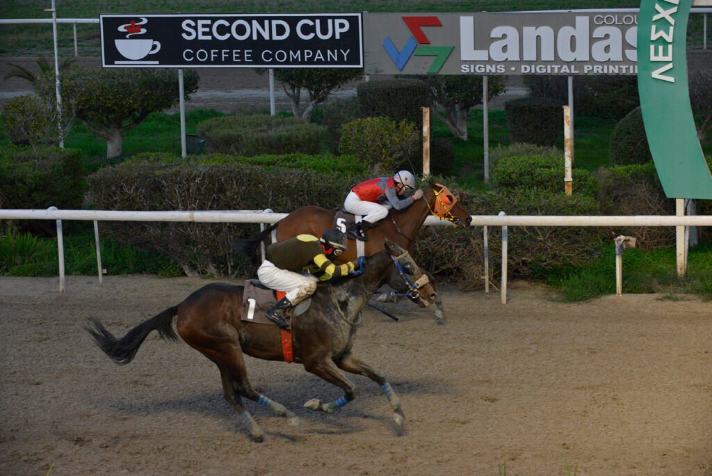 XENAGORAS 5.1.25_STK6927