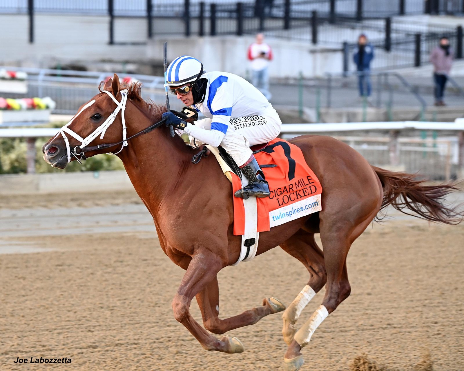 ΔΙΕΘΝΗ: Φαβορί ο Locked στο Pegasus World Cup 1 locked-the-cigar-mile-credit-joe-labozzetta-scaled