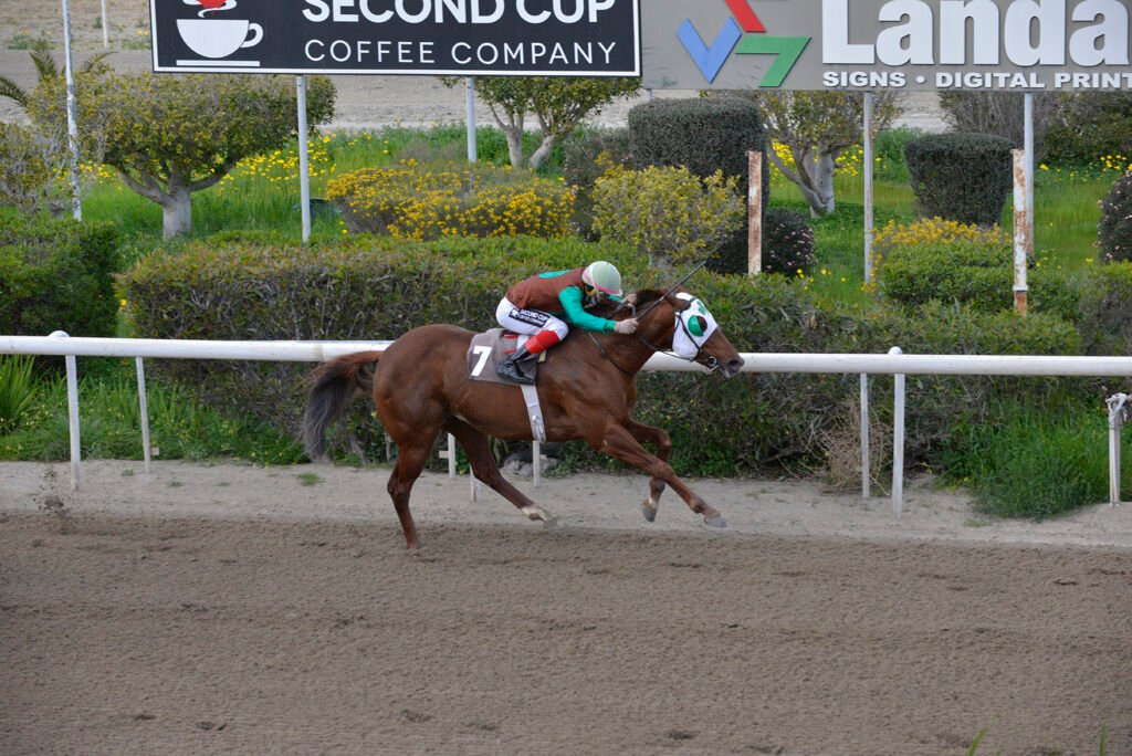 ACHERA 23.2.25_STK9131