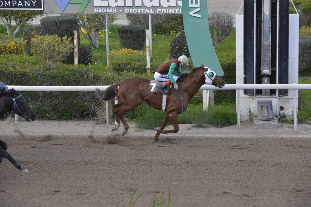 ACHERA 23.2.25_STK9132