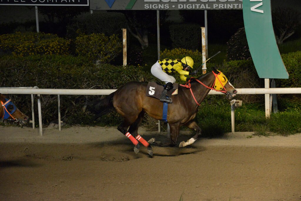 ALVARO 23.2.25_STK9178