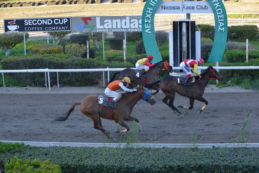 CLEVER MILIONAIRE_STK9025