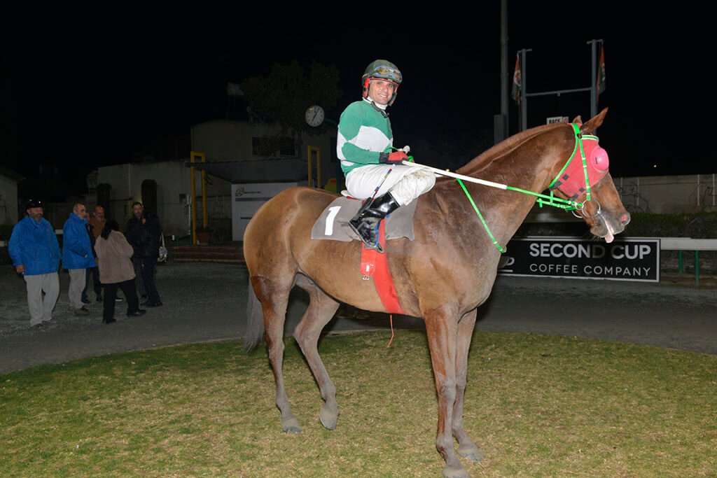 DIAMOND STELLARAS_STK9105