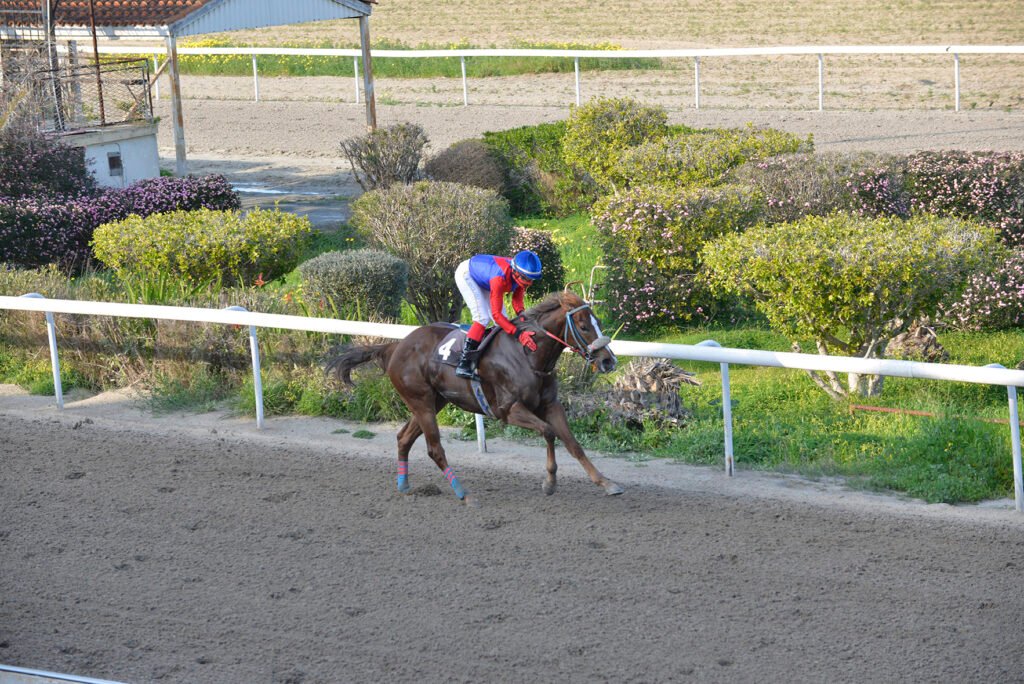 ELA GIORKATSA MOU 16.2.25_STK8904