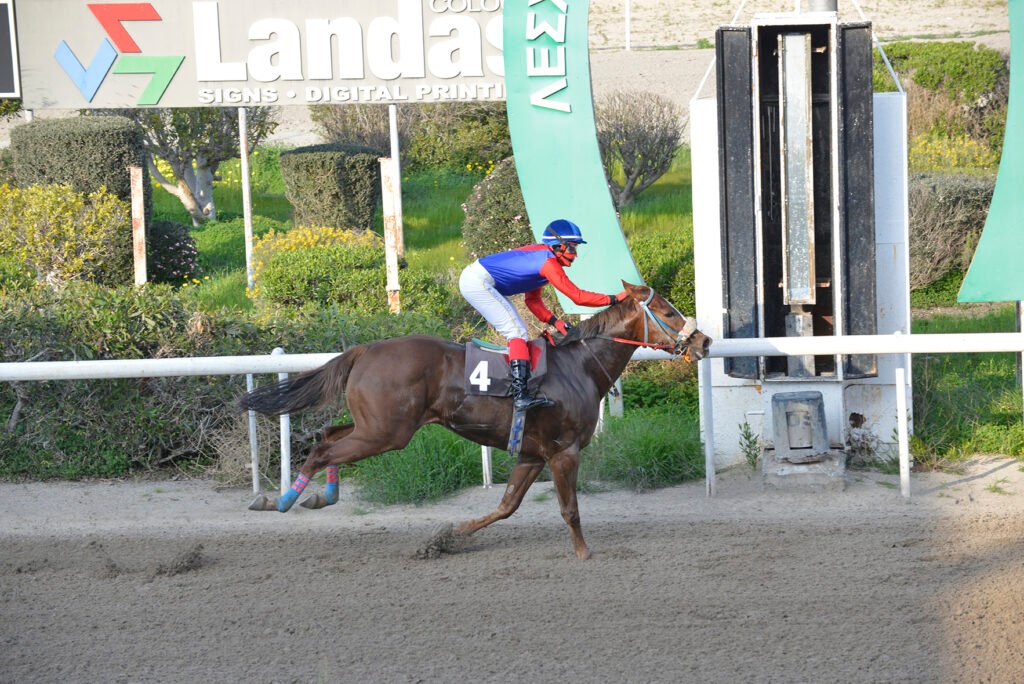 ELA GIORKATSA MOU 16.2.25_STK8905